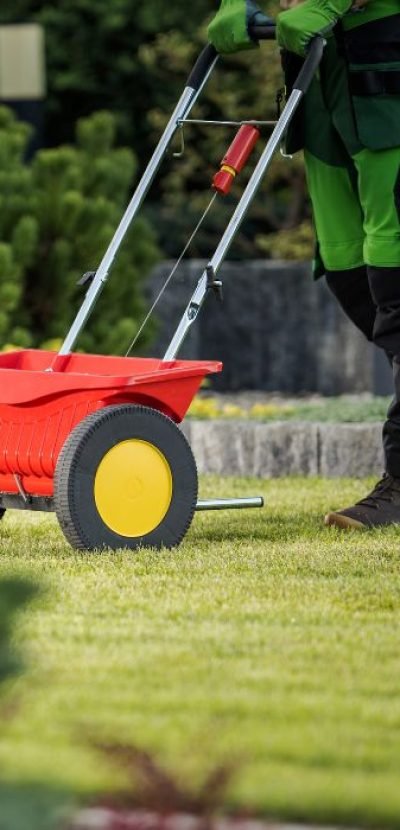 xr:d:DAF7SQmhRtM:62,j:5660322657870730236,t:24040415